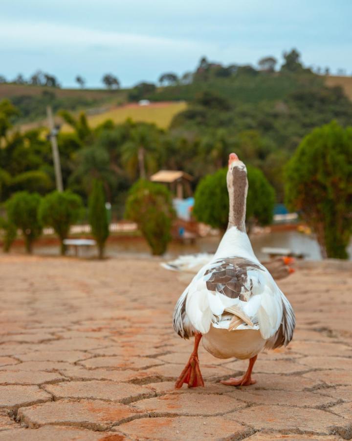 Paraiso Rural Holiday home