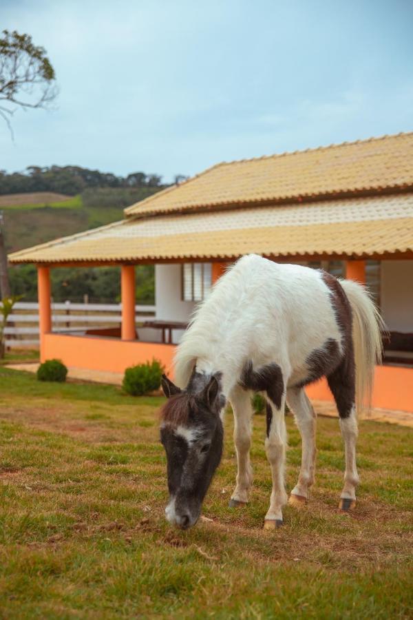 Paraiso Rural *