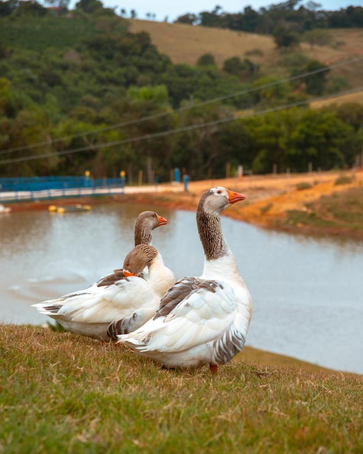 Paraíso Rural *
